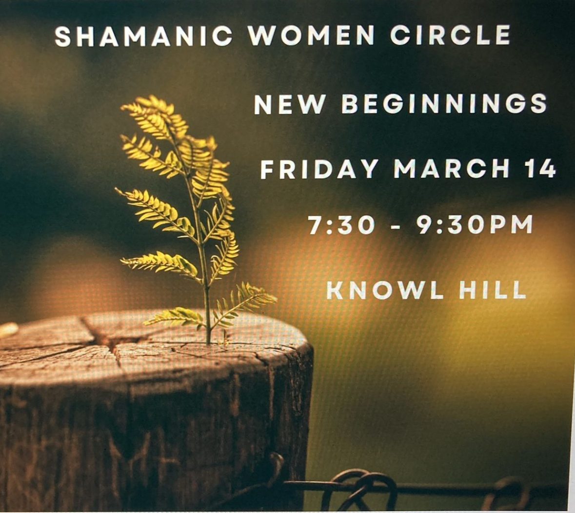 Poster for a shamanic women’s circle event with glowing botanical artwork.
